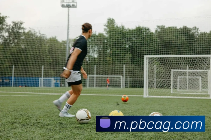 ag官网平台生态图